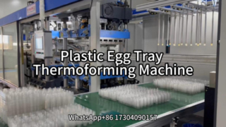 Egg Tray Thermoforming Machine | Positive and Negative Pressure Forming for Egg Cartons