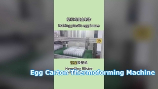 Plastic Egg Carton Thermoforming Machine | 2-Piece Egg Box Production | Hengxing