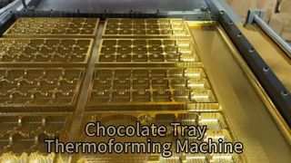 Chocolate Tray Thermoforming Machine | Plastic Chocolate Tray Production