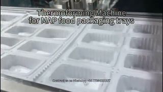 Thermoforming Machine for MAP Trays | Plastic Food Tray Production