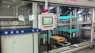 High-Speed Automatic PP Take Away Box Lid Making Machine 30 Cycles/Min Thermoforming Production Line