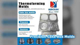 Precision Thermoforming Mould for Cake Boxes